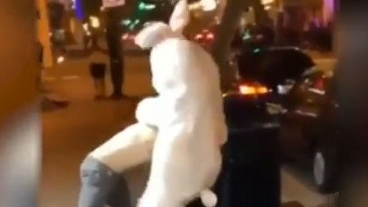 Култово ВИДЕО! Мъж в заешки костюм преби хулиган заради момиче