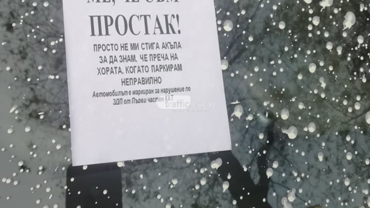 Пловдивчанин паркира като цар и си получи заслуженото (СНИМКИ)
