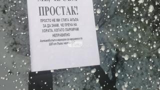 Пловдивчанин паркира като цар и си получи заслуженото (СНИМКИ)