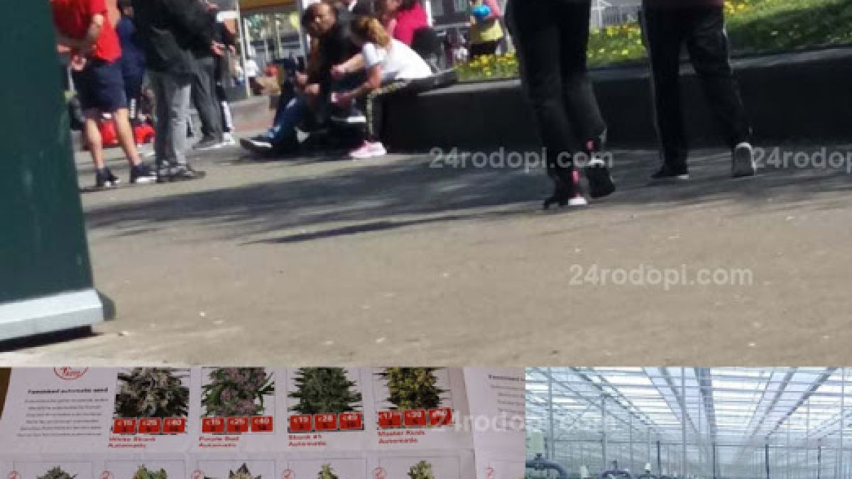 Гурбетчии от Родопите вадят по 60-70 хиляди евро за няколко месеца в Холандия 