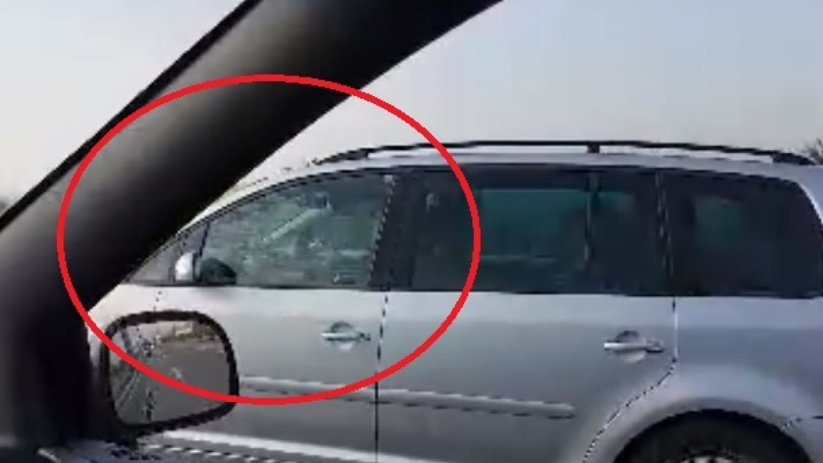 Простотията българска няма край (ВИДЕО)