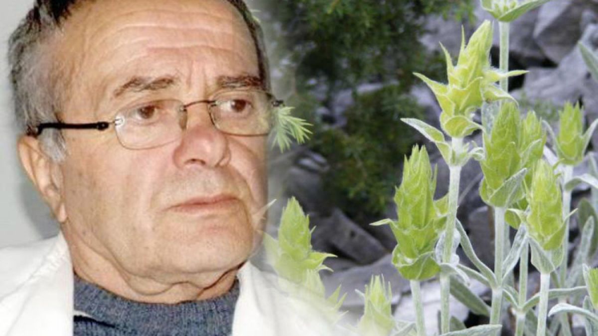 Д-р Анатоли Аликовски изброи чудесата на мурсалския чай