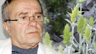 Д-р Анатоли Аликовски изброи чудесата на мурсалския чай