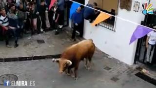 Бик уби мъж на фестивал в Испания (СНИМКИ/ВИДЕО 18+)