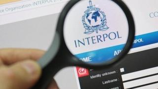 Интерпол ще работи с компрометирания WWF в България 