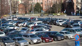 Колите в България намаляват драстично, какво се случва?