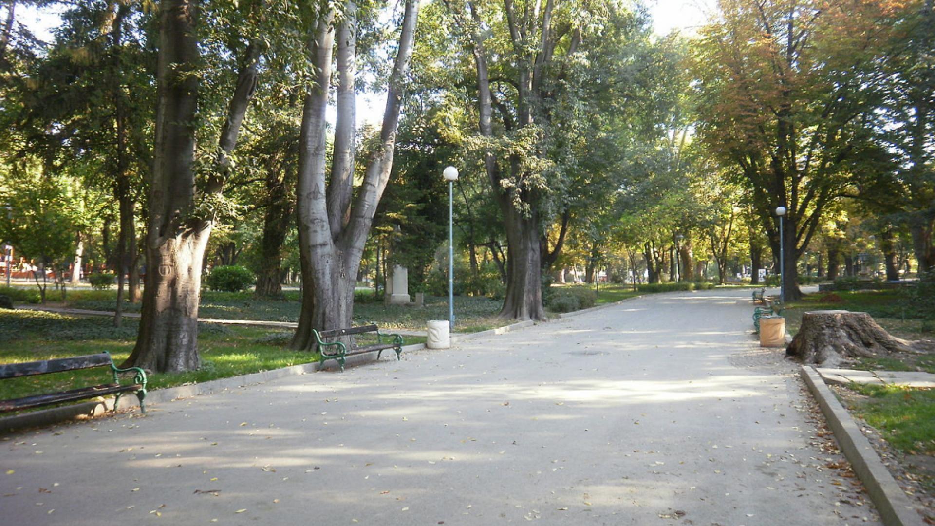 Шок в Пловдив! Потрошиха...