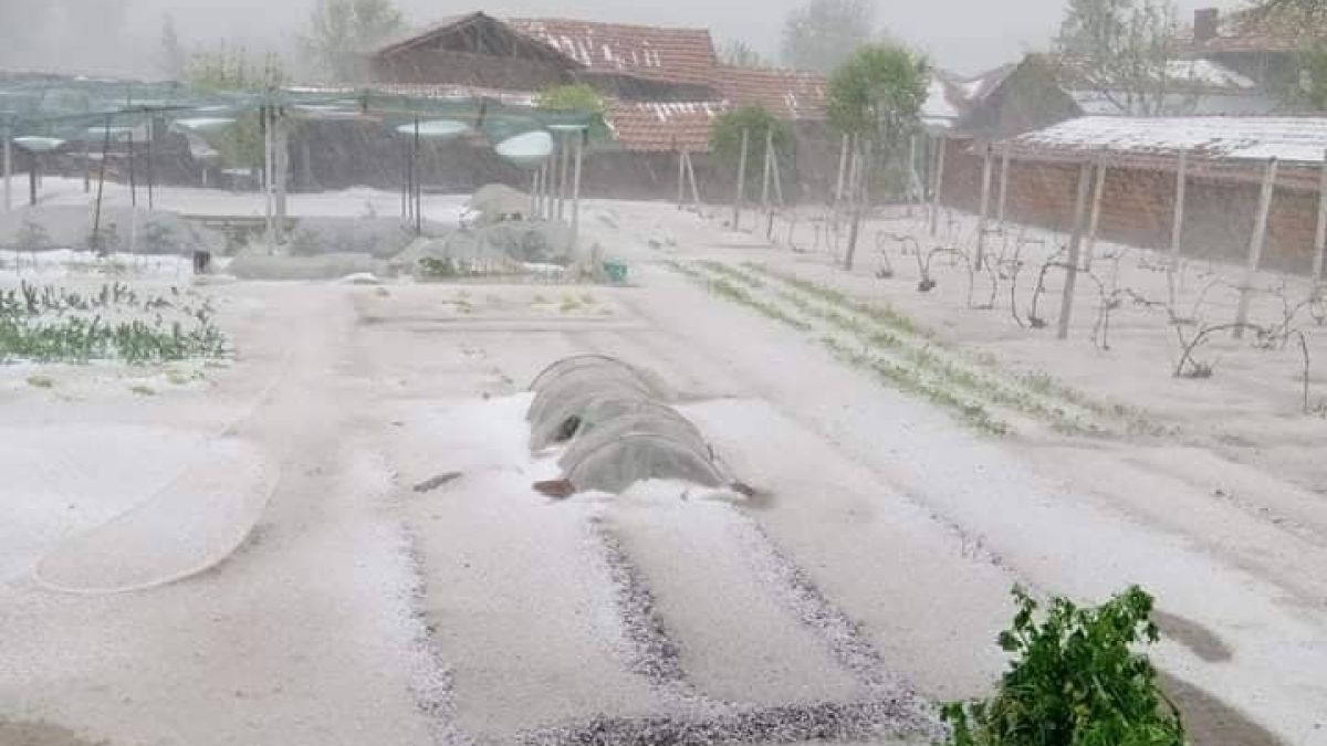 Невиждана стихия удари Плевенско! Дворове и ниви побеляха все едно е зима (СНИМКИ/ВИДЕО)