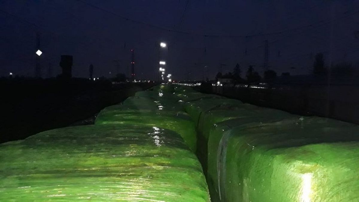Големо село изтръпна заради 20 вагона, пристигнали мистериозно посред нощ (СНИМКИ)