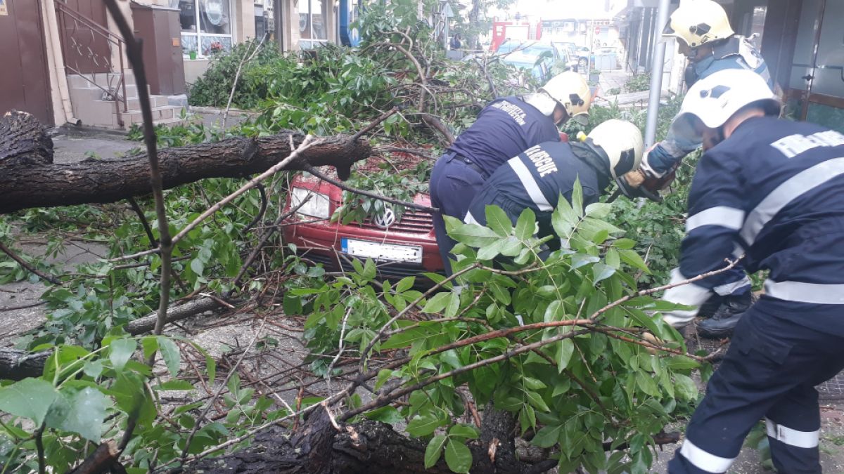 Голямо дърво се стовари върху варненска улица и стана голямо мазало (СНИМКИ)