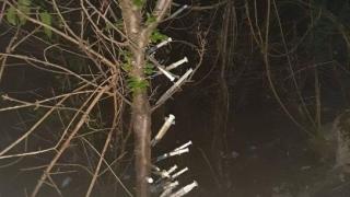 Мрежата изтръпна заради зловеща СНИМКА от столичния квартал" Овча купел"