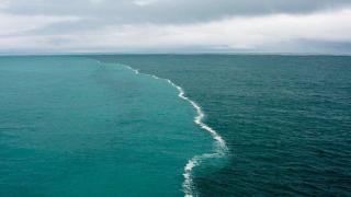 Сензация! Удивително откритие в Северно море преобръща човешката история (СНИМКА)