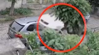 Изверг от Ямбол вбеси мрежата с жестокостта си (ВИДЕО 18+)