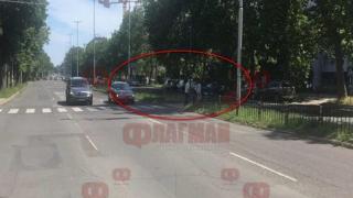 Двуметрово чудовище пълзи по централен бургаски булевард! Всички са в шок (СНИМКИ)