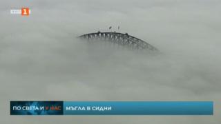 Пълен шок! Сидни изчезна (ВИДЕО)
