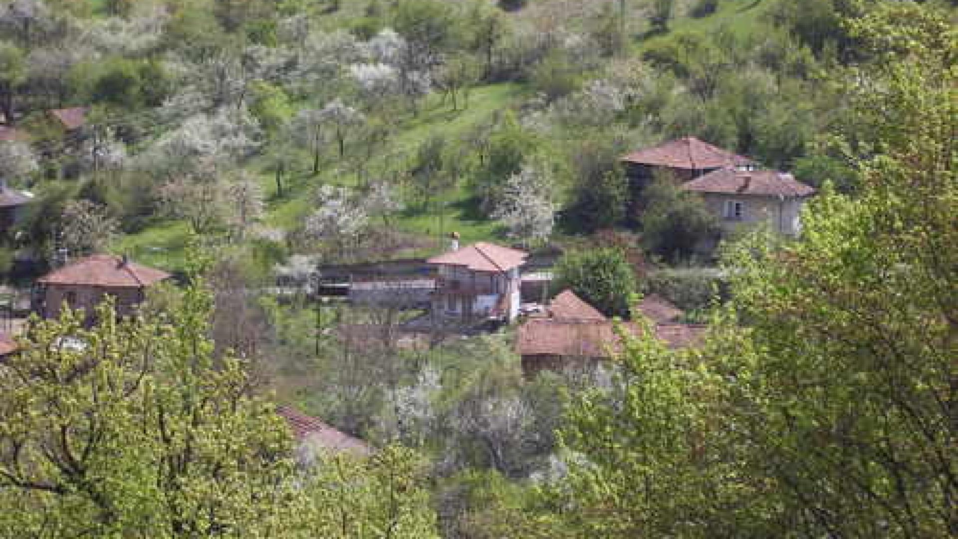 Зловеща СНИМКА (18+) от врачанско село разплака социалните мрежи