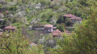 Зловеща СНИМКА (18+) от врачанско село разплака социалните мрежи