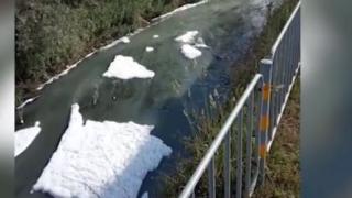 Не е за вярване какво се оказа гнусното нещо в река Струма в Перник (СНИМКИ/ВИДЕО)