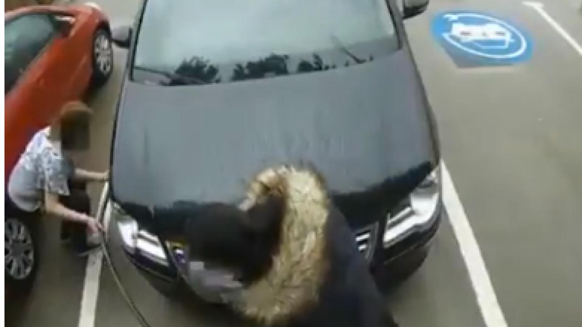 Смях! Жена опита да напомпа гума на "Фолксваген" със зарядно (ВИДЕО)