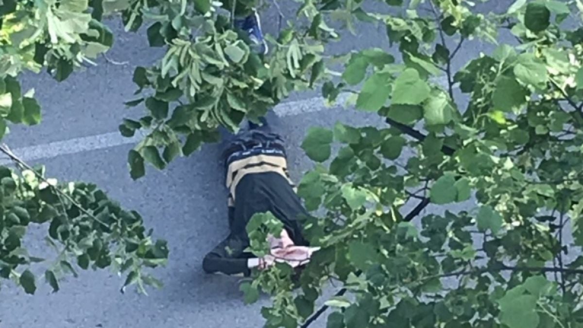 Падна първата жертва на жегите във Враца (СНИМКА)