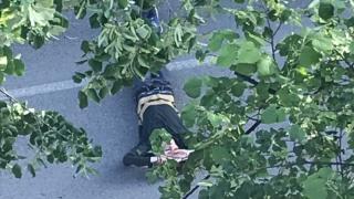 Падна първата жертва на жегите във Враца (СНИМКА)