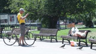 Само в БЛИЦ! Потресаваща гледка пред Народния театър шокира минувачи (СНИМКИ)