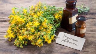 Доц. Андонова разказа за нов продукт за бързо заздравяване на рани