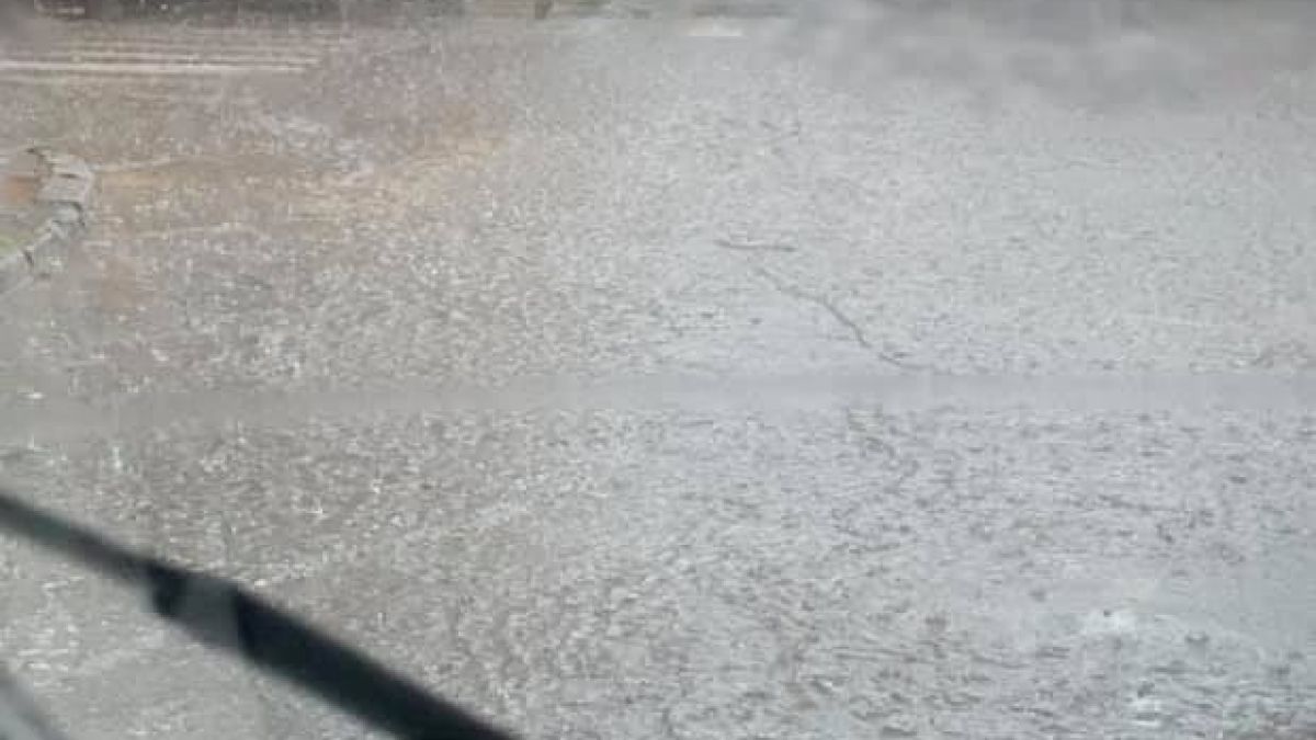 Потоп удави Благоевград (СНИМКИ)