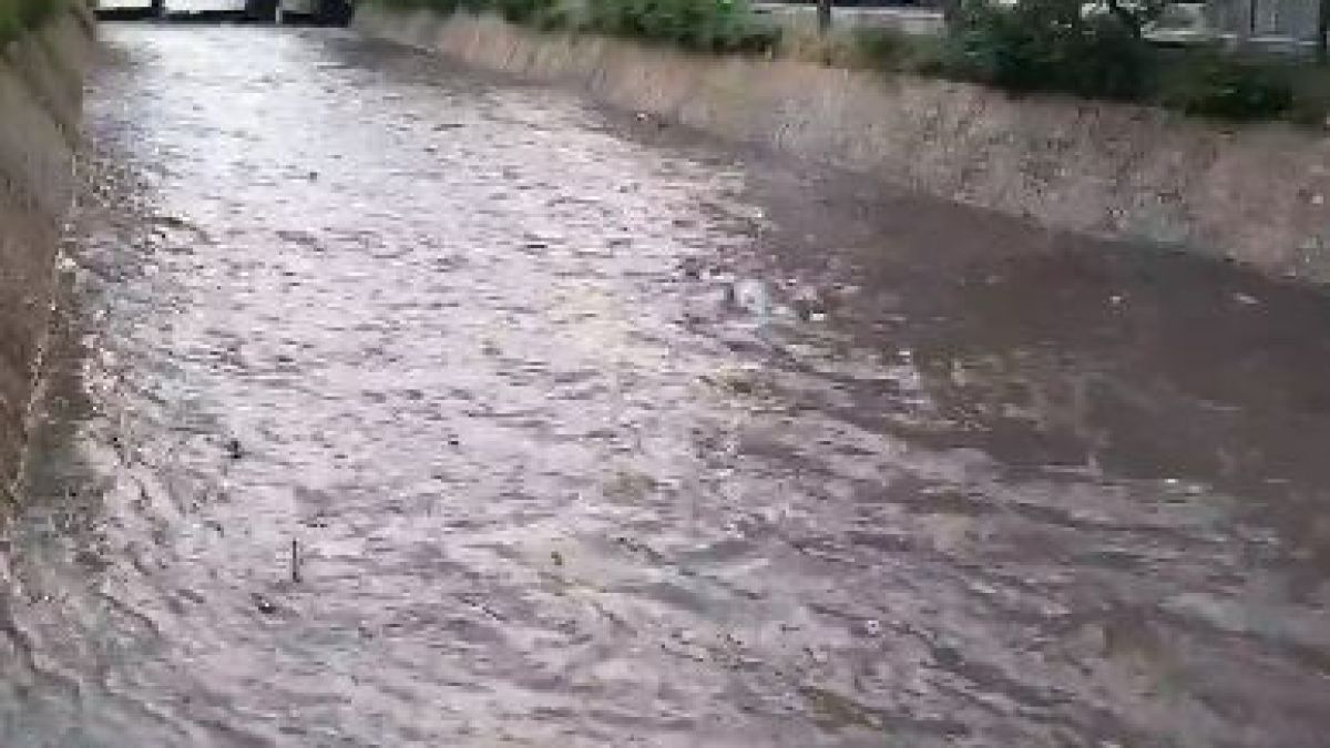 Такова нещо отдавна не се беше случвало в София (ВИДЕО)