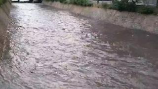 Такова нещо отдавна не се беше случвало в София (ВИДЕО)
