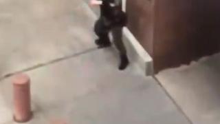 Стрелба в центъра на Далас, ето какво се случва (ВИДЕО)