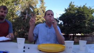 Мъж натъпка 146 боровинки в устата си заради Гинес рекорд (ВИДЕО)