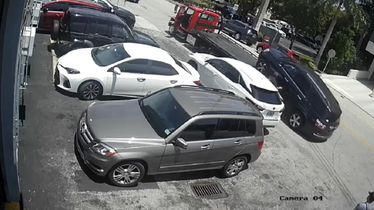 Фигаро тук, Фигаро там: Ловък водач на автовоз развесели мрежата