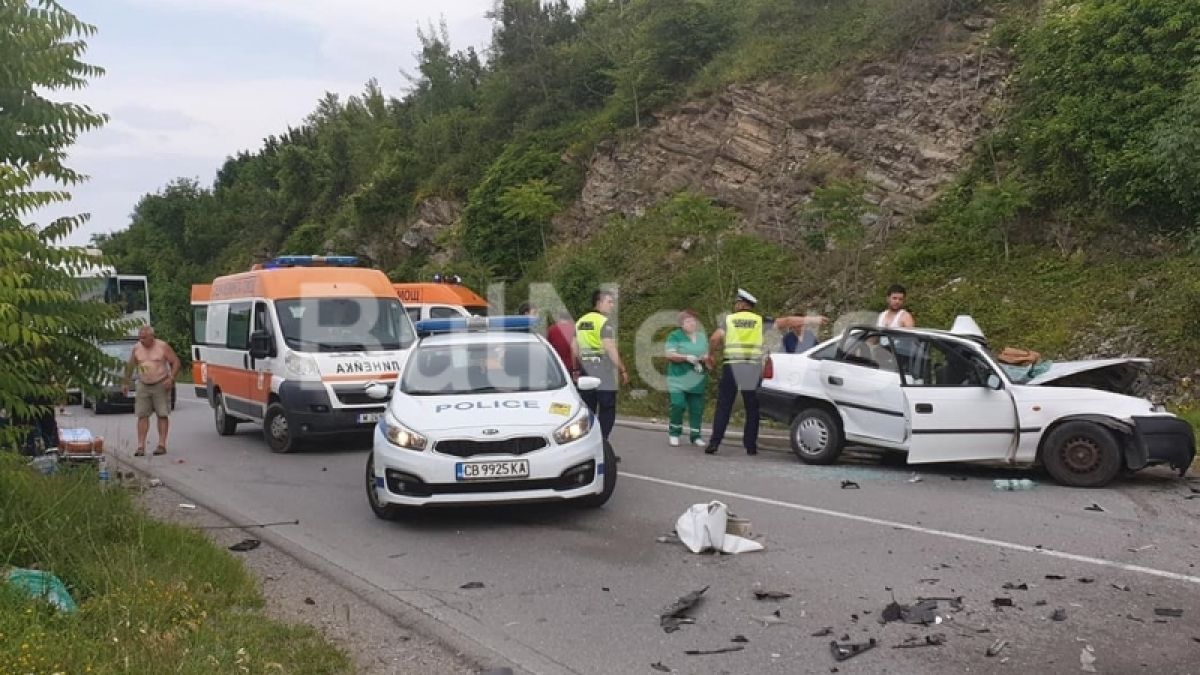 Първи страшни подробности за касапницата в Монтанско 
