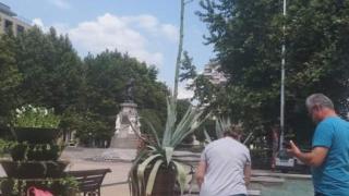 Чудо невиждано в Хасково навръх Еньовден (СНИМКИ)