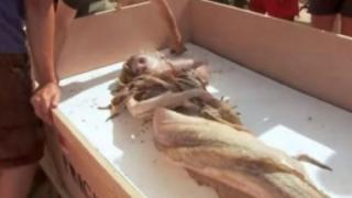 Жив човек амфибия се появи на китайския бряг (СНИМКА)