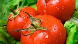 Искате български домати? Вече са в миналото!
