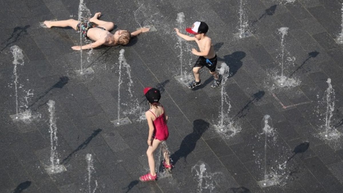 В Германия без ред не може. Даже и при рекордни жеги като сегашните
