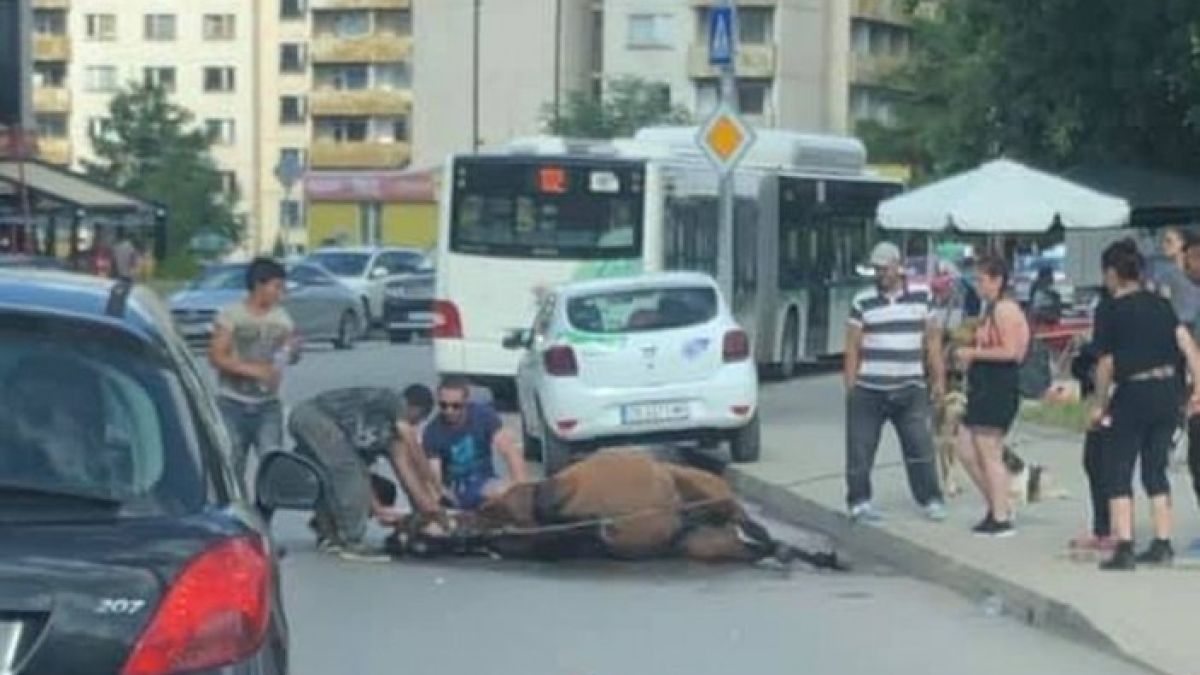 Мрежата се вбеси на тези цигани, наобиколили труп в Студентски град (СНИМКА)