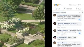 Само в БЛИЦ! Столичанка хвърли дрехи и задръжки насред "Бизнес парка" в София