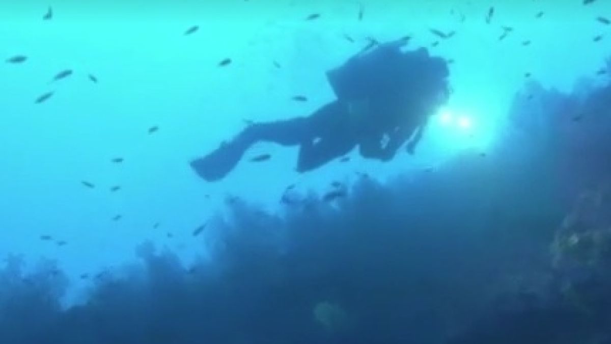 Учени ще прекарат в капсула на дъното на Средиземно море почти месец! (ВИДЕО)
