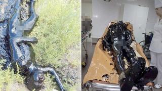 Ужасен инцидент! Мъж падна в асфалтова яма и... оцеля (СНИМКИ)