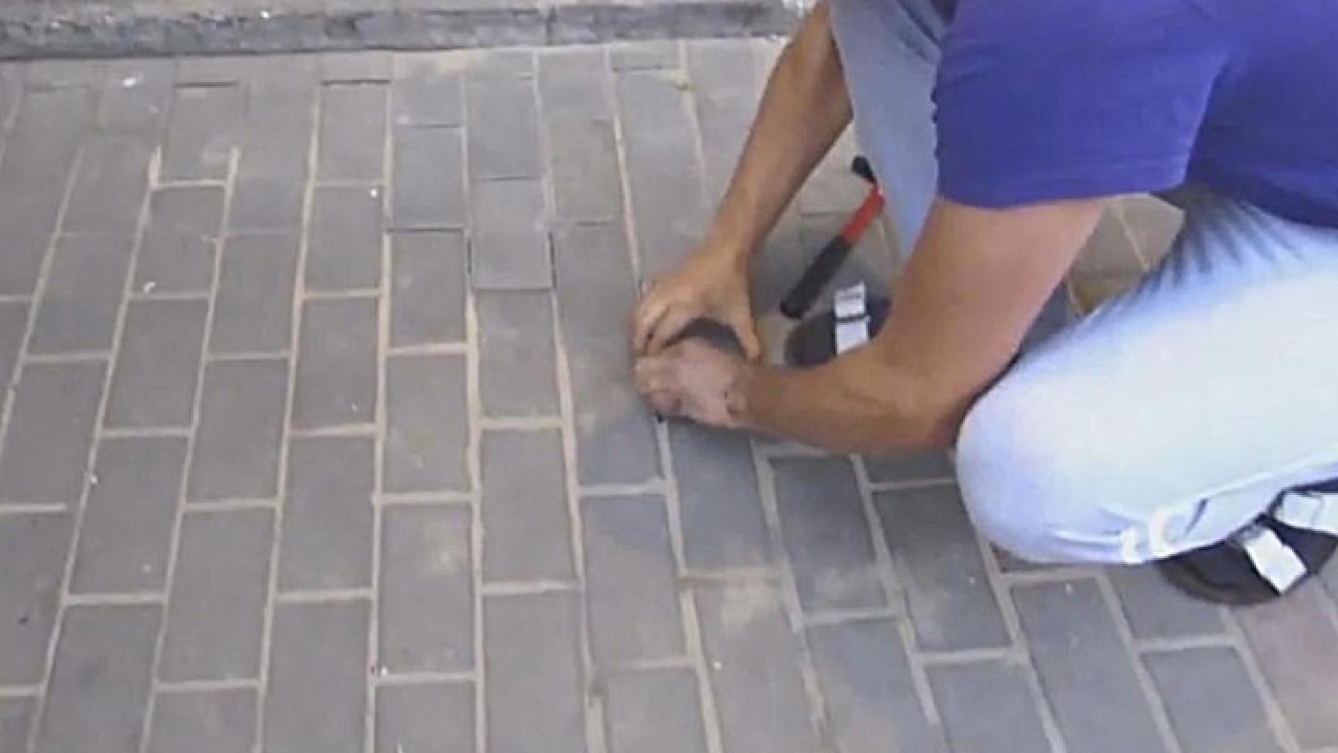 Мъж чу стенания под тротоара, разбута плочките, изрови дупка и онемя от изненада