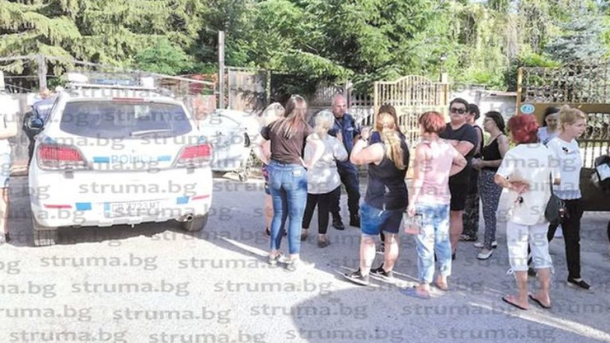 НПО-та щурмуват Дупница, за да спасят глутницата кучета, нападнали майка с дете 