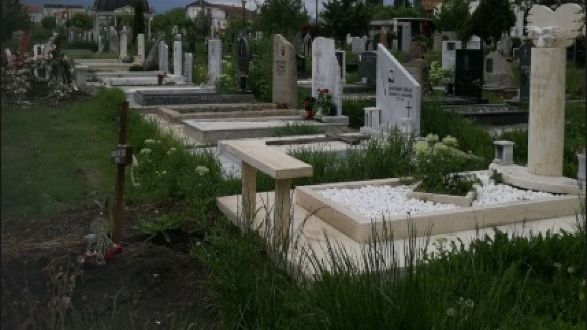 Страшен мор в цяла България от началото на годината