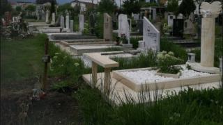 Страшен мор в цяла България от началото на годината