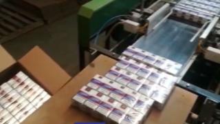 Спецакция в Пловдивско, удариха...