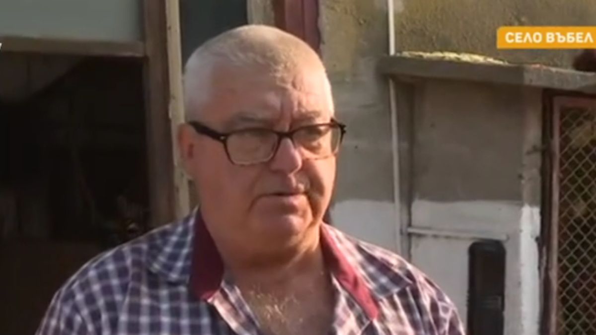 Стопанин проплака и обясни какво носи чумата по свинете