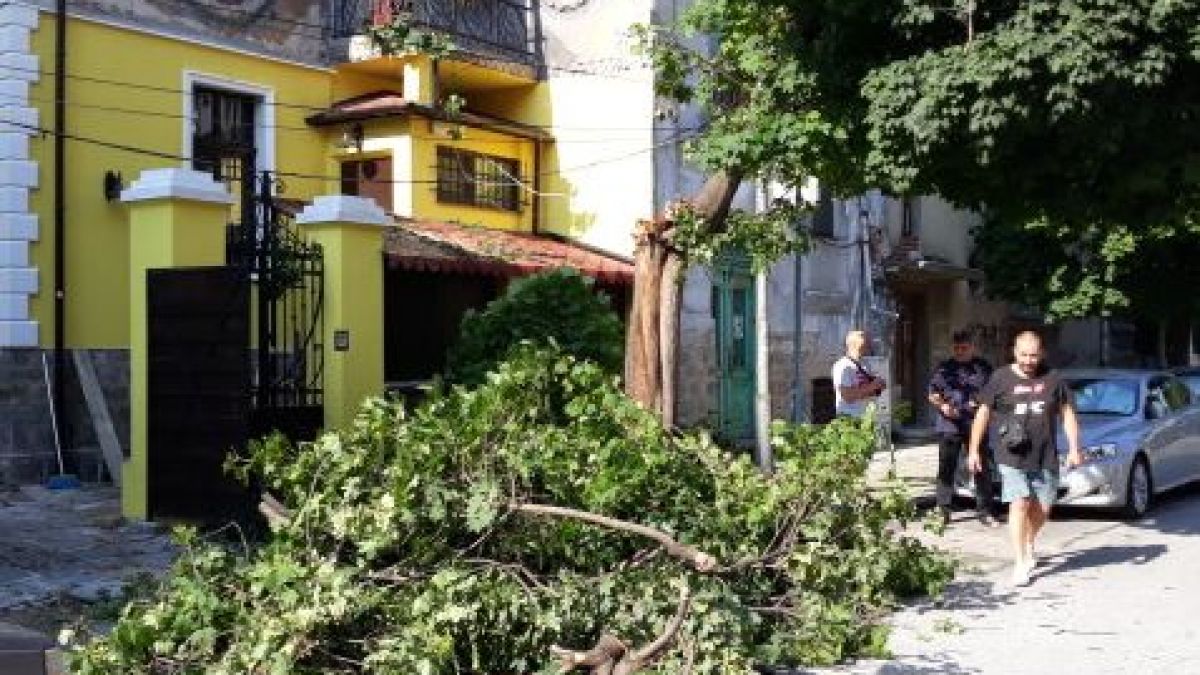 Бурята нанесе големи поразии в Пловдив (СНИМКИ)