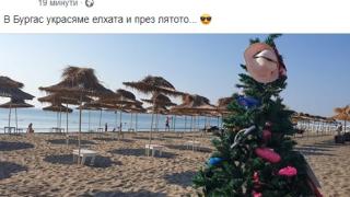 Само в БЛИЦ! СНИМКА от бургаския плаж втрещи мрежата